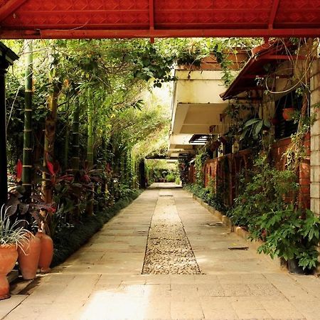 The Green Path Eco Hotel Bengaluru Zewnętrze zdjęcie
